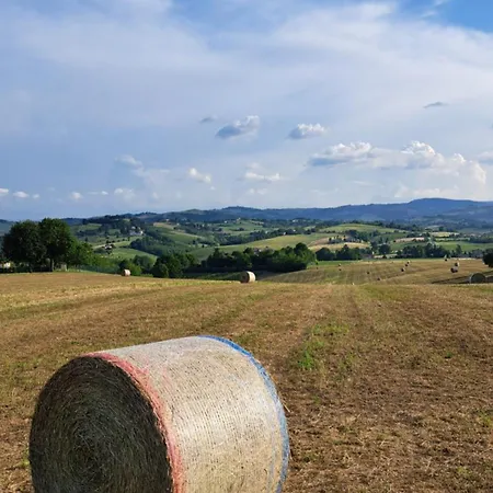 Casa Del Vigneto * Castelvetro di Modena
