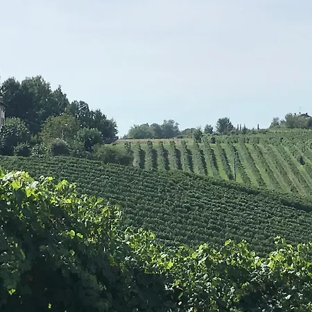 Appartamento Casa Del Vigneto *