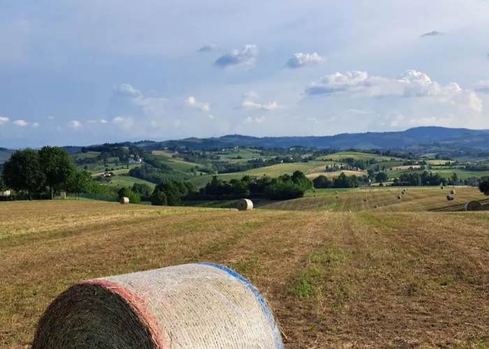 Casa Del Vigneto * Castelvetro di Modena