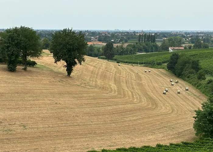 Appartamento Casa Del Vigneto