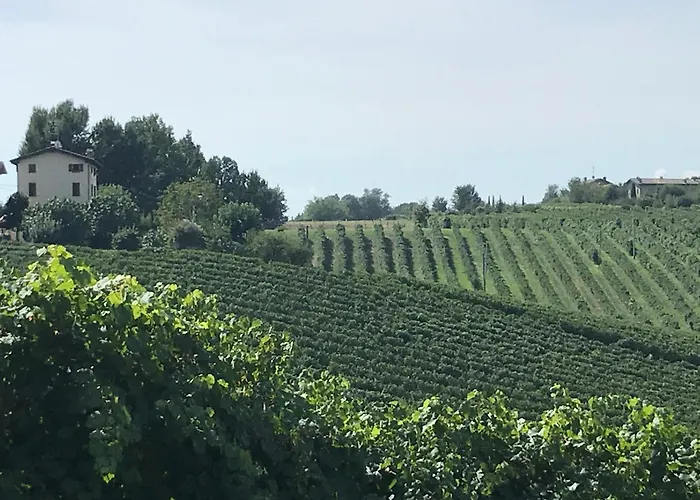 Appartamento Casa Del Vigneto *